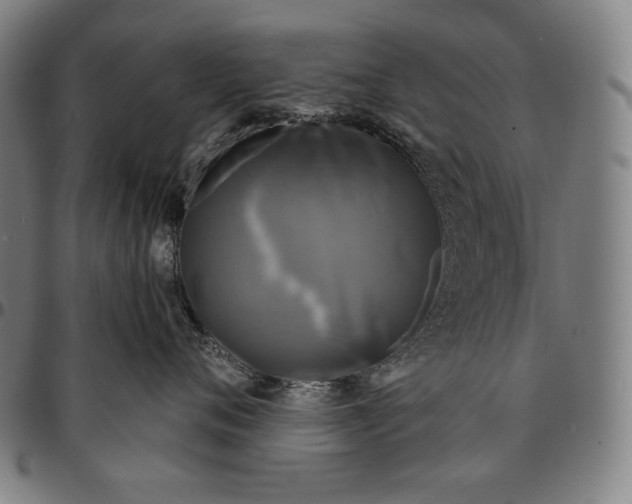 X0000095110720200801041200