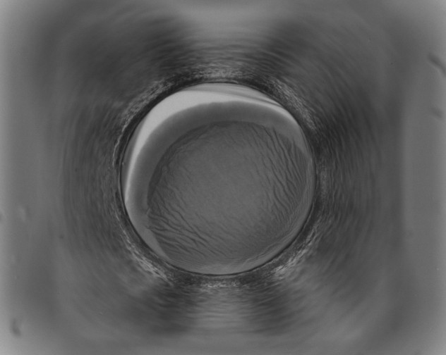 X0000095110721200801041159