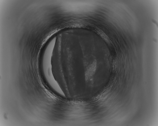 X0000095110722200801041159