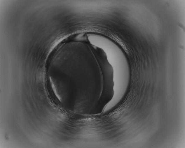 X0000095110724200801041159