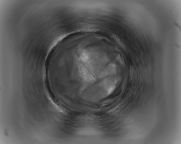 X0000095110726200801041159