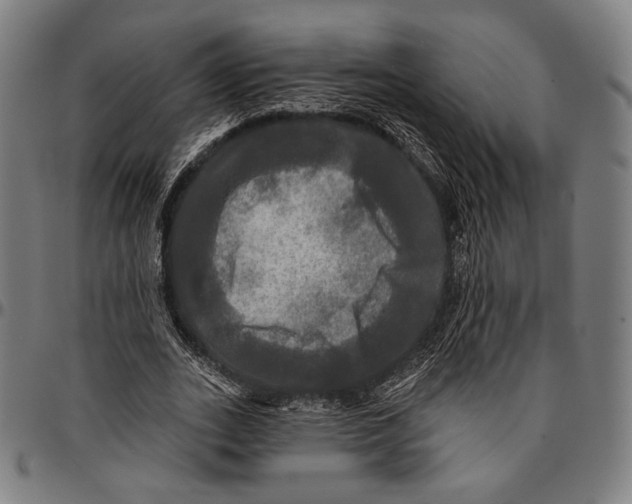 X0000095110727200801041159