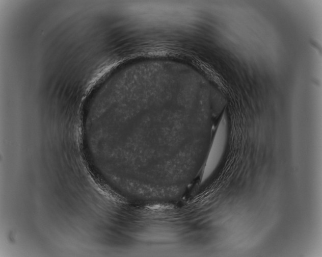 X0000095110728200801041159
