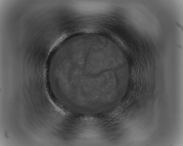 X0000095110730200801041159