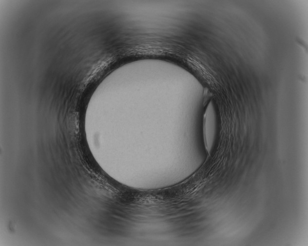 X0000095110731200801041159