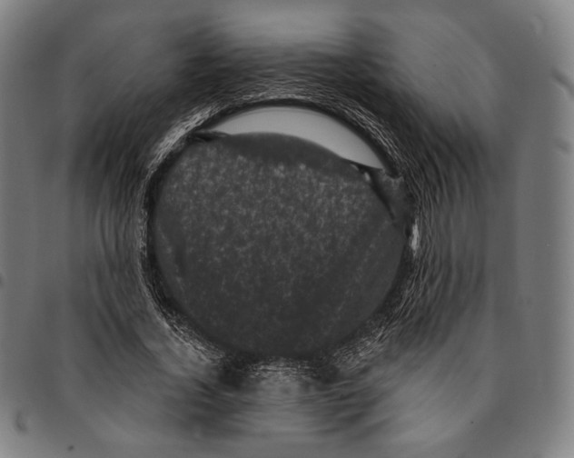 X0000095110732200801041159