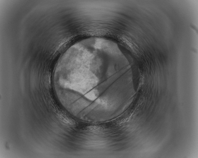 X0000095110733200801041159