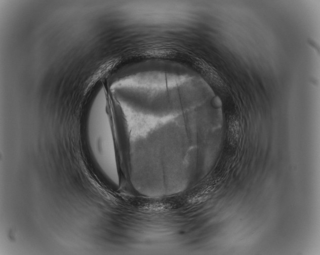 X0000095110734200801041159