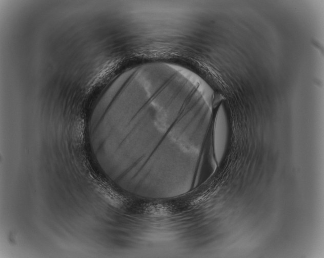 X0000095110735200801041159