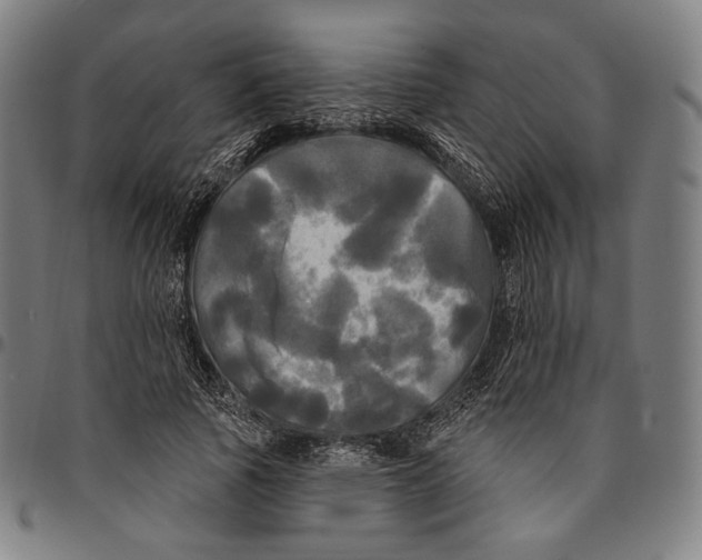 X0000095110737200801041159