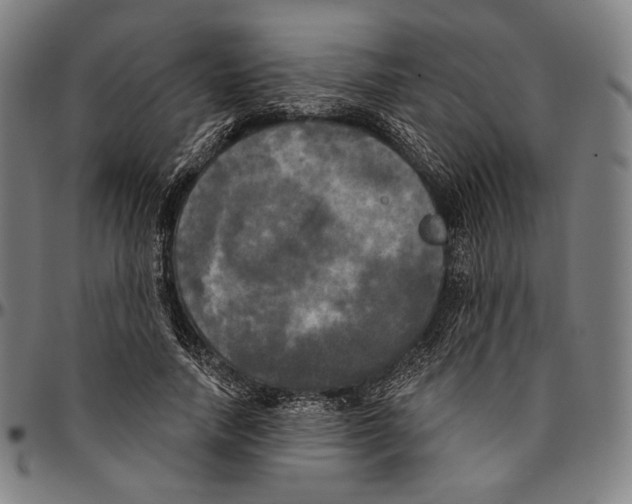 X0000095110738200801041159