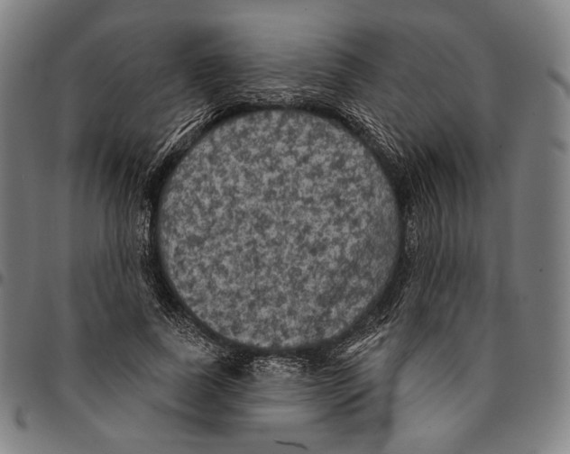 X0000095110739200801041159