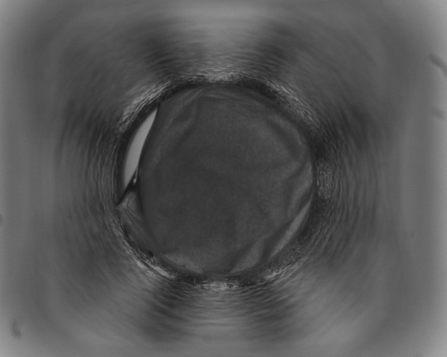 X0000095110740200801041159