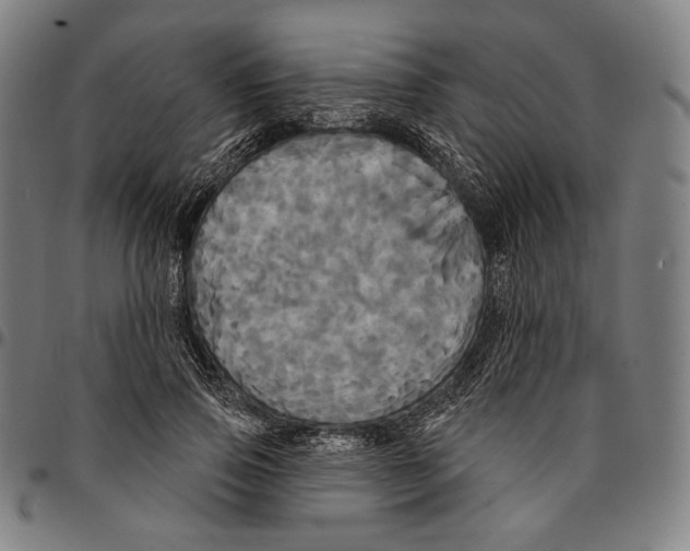 X0000095110741200801041159