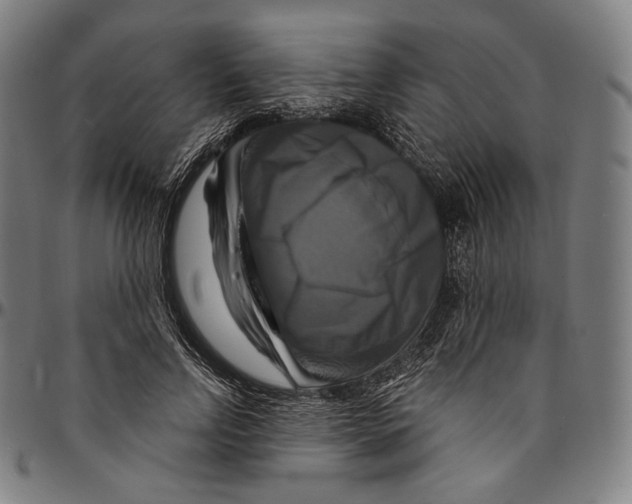 X0000095110742200801041200