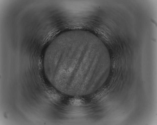 X0000095110743200801041200