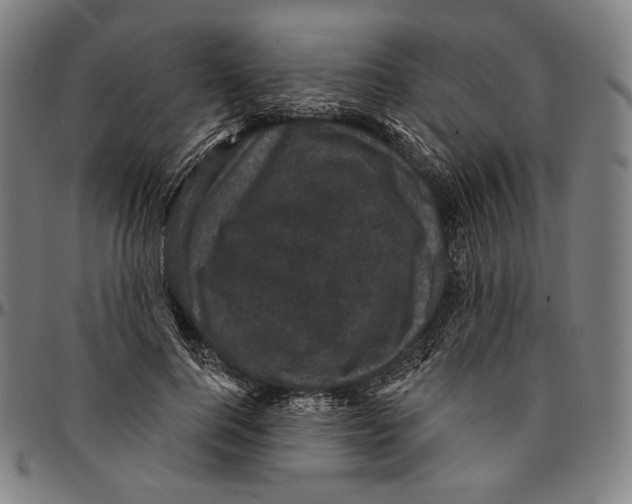 X0000095110744200801041200