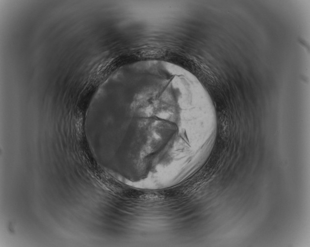 X0000095110745200801041200