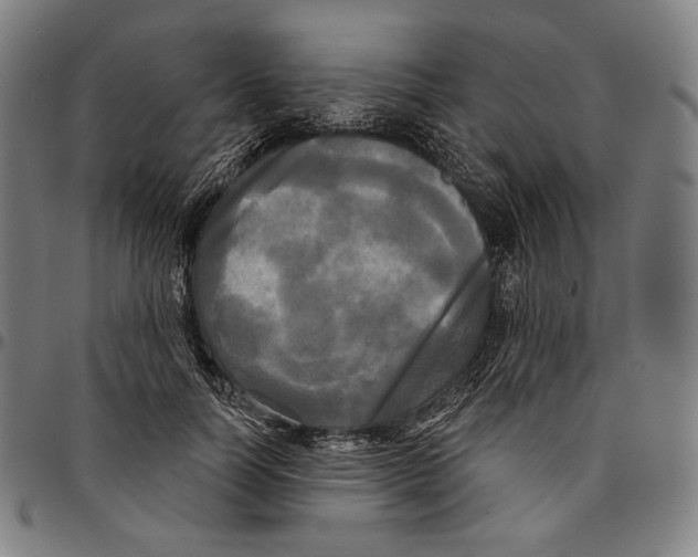 X0000095110746200801041200