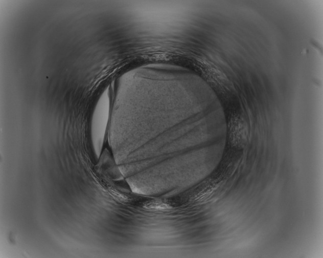 X0000095110747200801041200