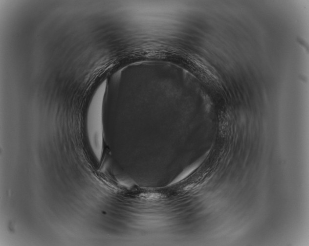 X0000095110748200801041200