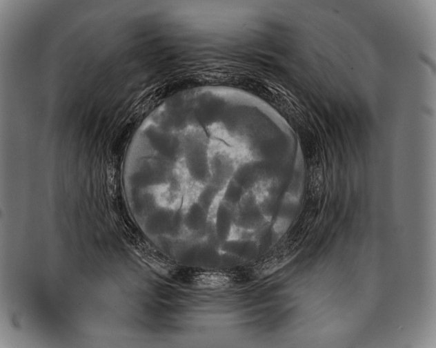 X0000095110749200801041200