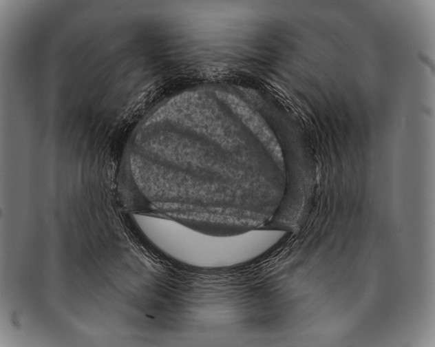 X0000095110750200801041200