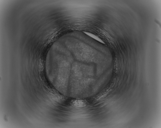 X0000095110751200801041200