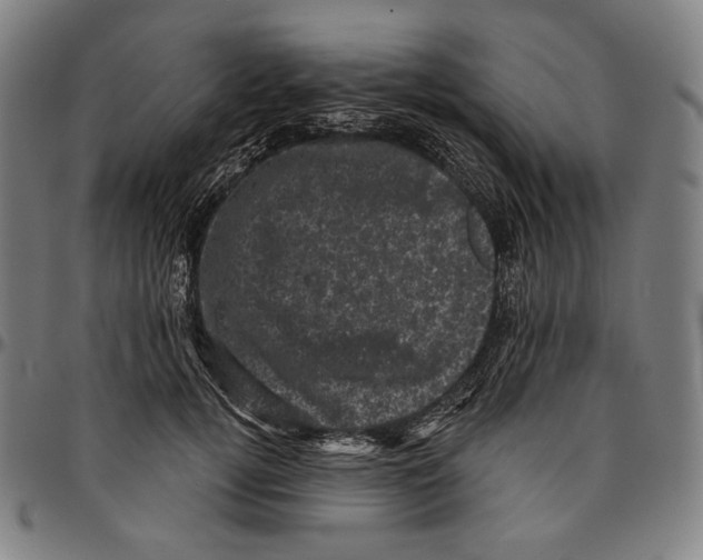 X0000095110752200801041200