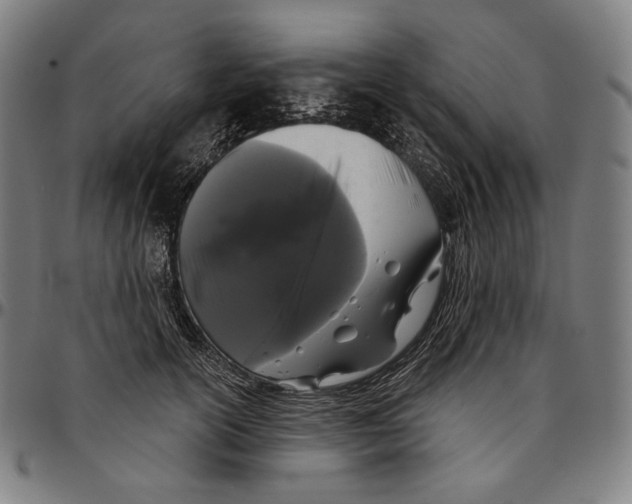 X0000095110754200801041200