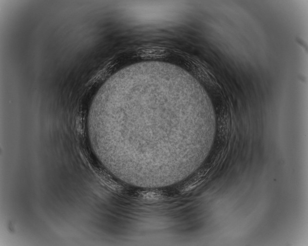 X0000095110755200801041200