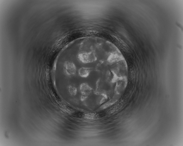 X0000095110757200801041200