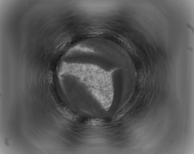 X0000095110758200801041200