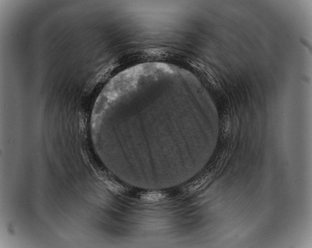 X0000095110759200801041200