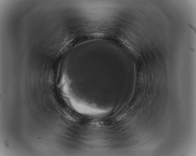 X0000095110760200801041200