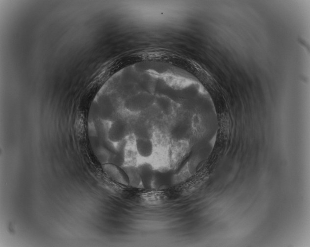 X0000095110761200801041200
