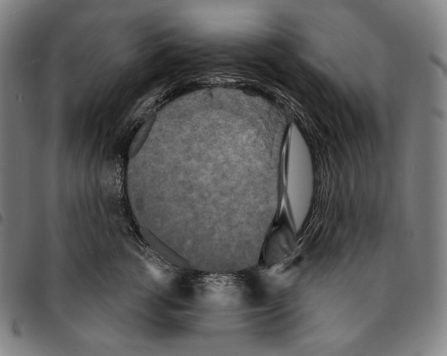 X0000095110762200801041200
