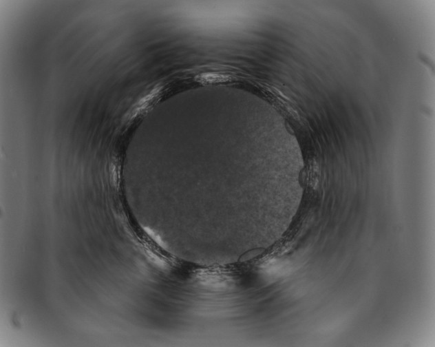 X0000095110763200801041200