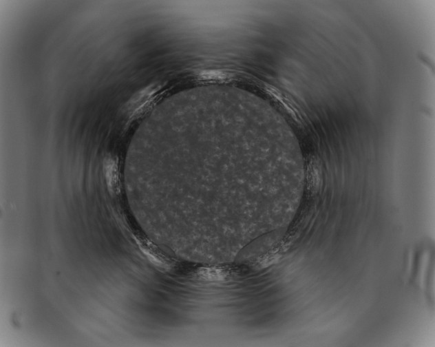 X0000095110764200801041200