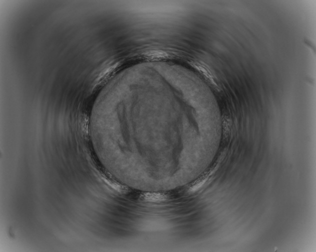 X0000095110766200801041200