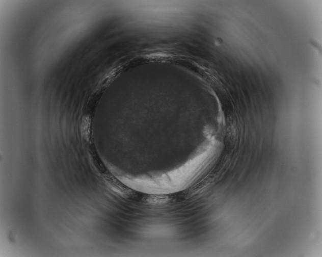 X0000095110767200801041200