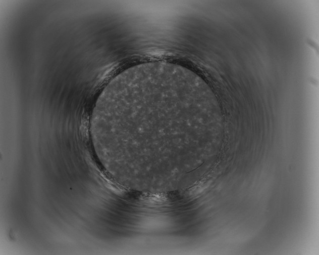 X0000095110768200801041200