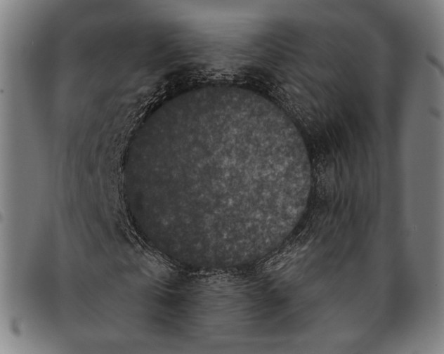 X0000095110769200801041159