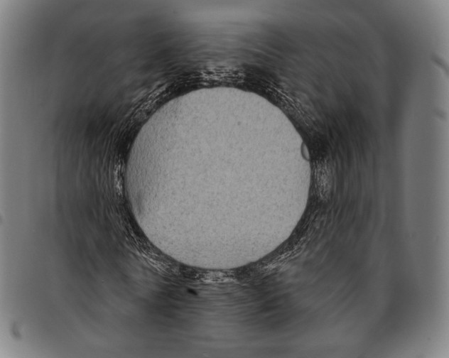 X0000095110770200801041159