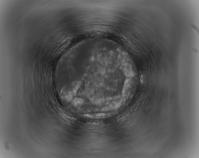 X0000095110771200801041159