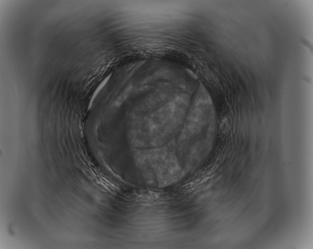 X0000095110772200801041159
