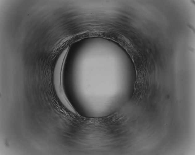 X0000095110773200801041159