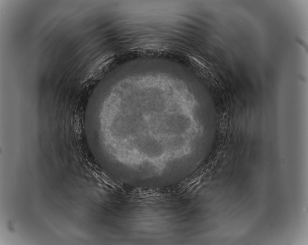 X0000095110774200801041159