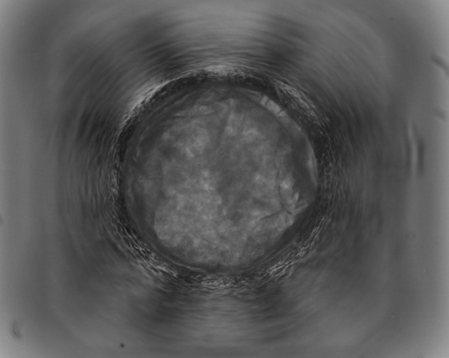 X0000095110776200801041159