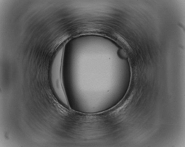 X0000095110777200801041159